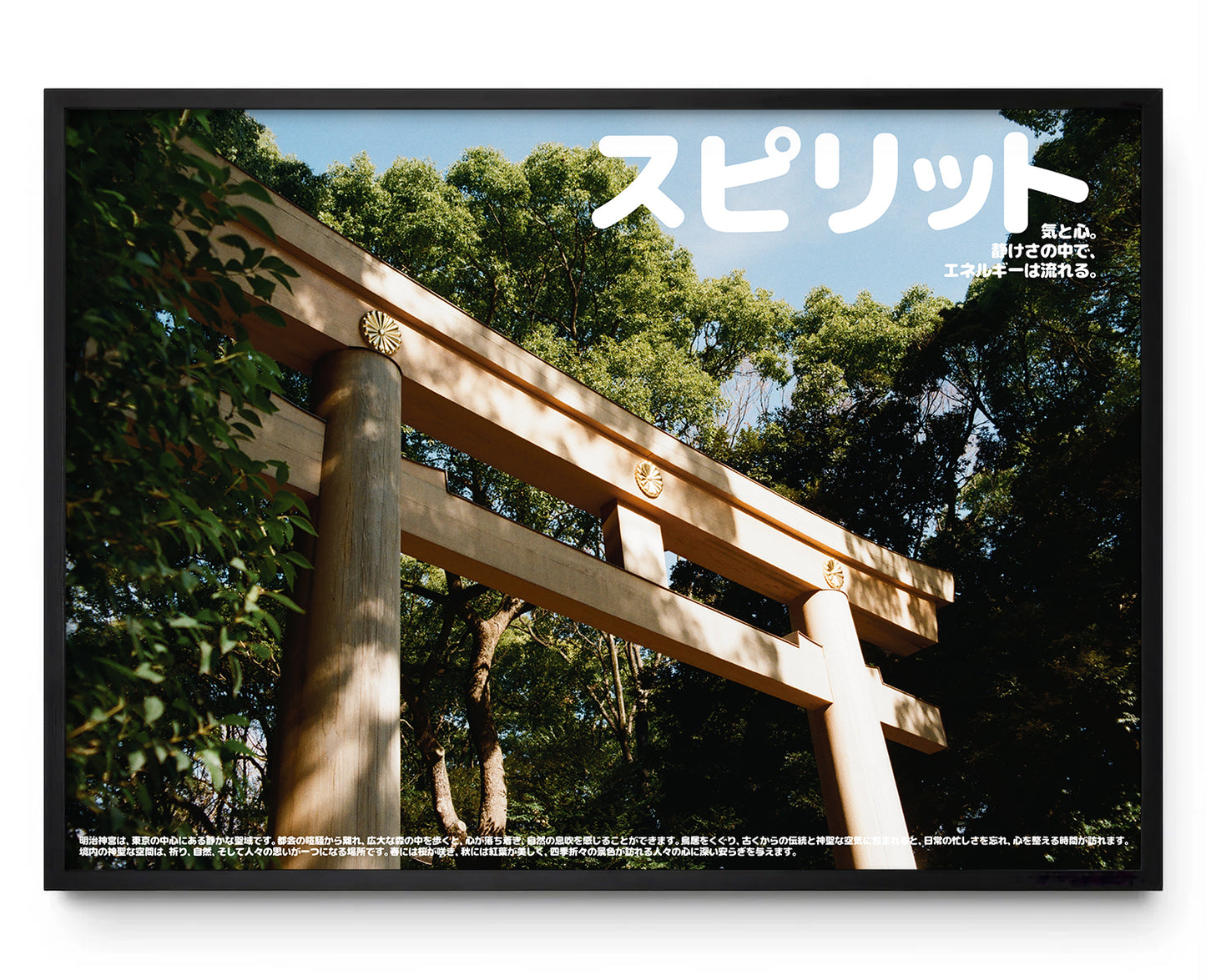 El corazón sagrado de Tokyo